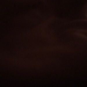 Meet your Posher, Bleach